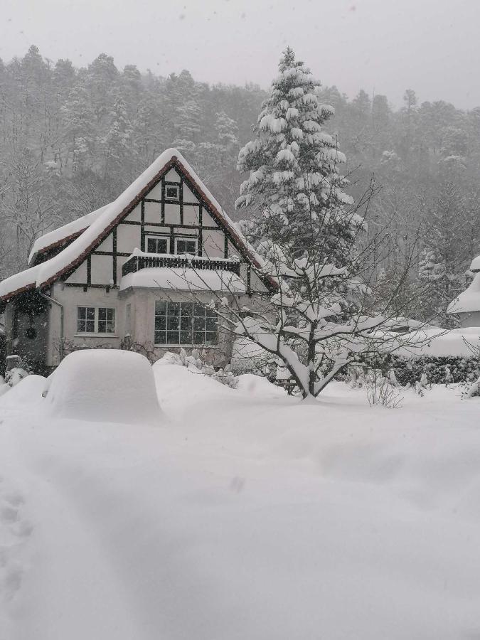 Ferienwohnung Natur Pur Muehlental Wernigerode Exterior foto