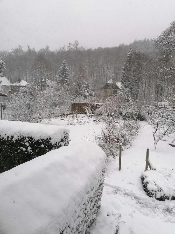 Ferienwohnung Natur Pur Muehlental Wernigerode Exterior foto