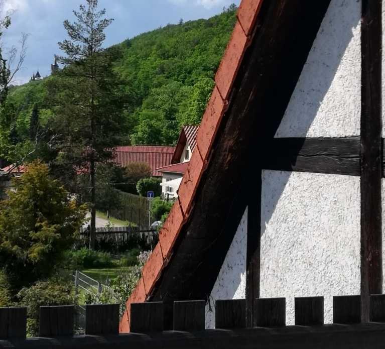 Ferienwohnung Natur Pur Muehlental Wernigerode Exterior foto